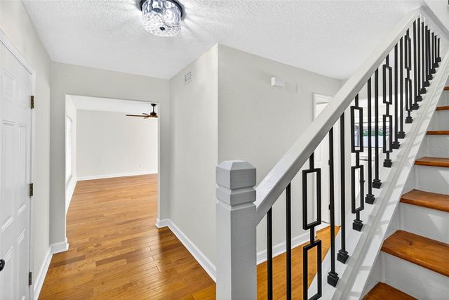 3909 BRAESGATE LANE, Tampa, FL 33624