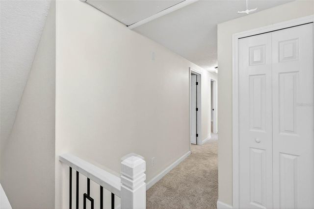 3909 BRAESGATE LANE, Tampa, FL 33624