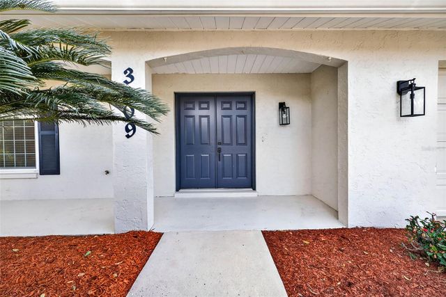 3909 BRAESGATE LANE, Tampa, FL 33624