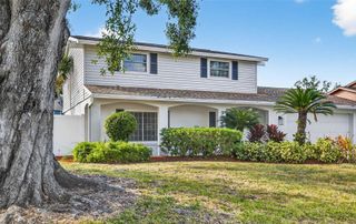 3909 BRAESGATE LANE, Tampa, FL 33624