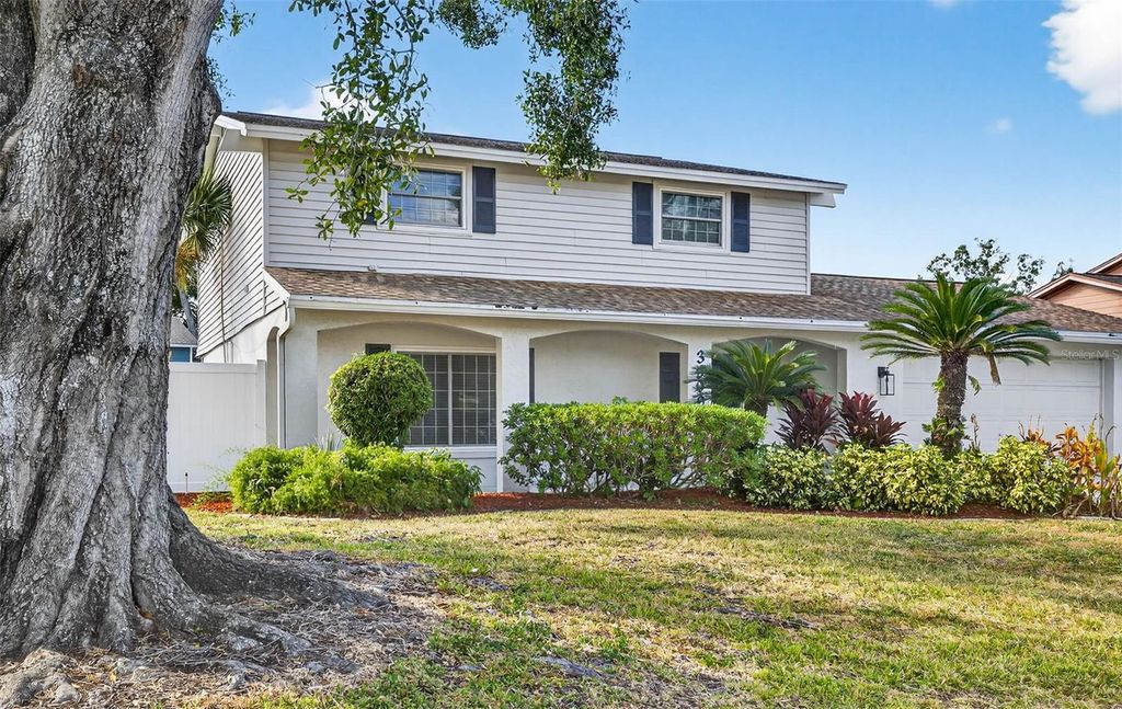 3909 BRAESGATE LANE, Tampa, FL 33624