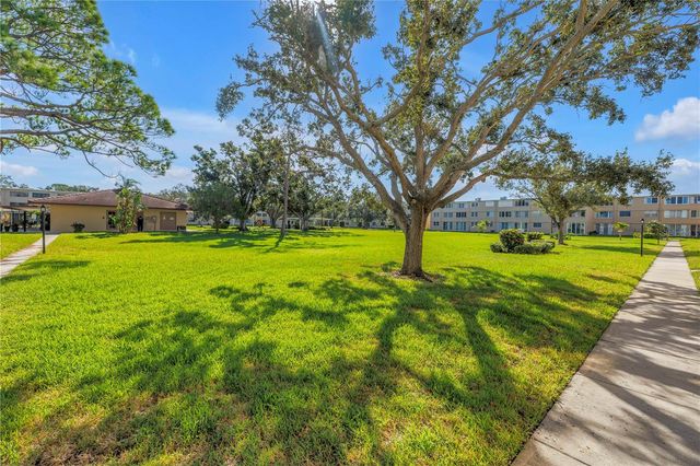 5095 BAY STREET NE 317, St Petersburg, FL 33703