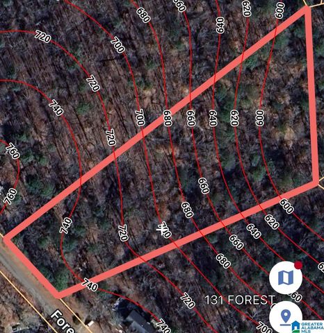 FOREST DRIVE, Warrior, AL 35180