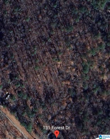 FOREST DRIVE, Warrior, AL 35180