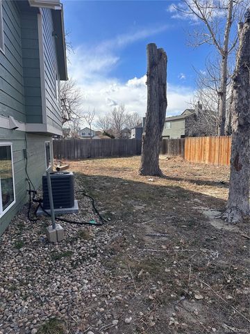 20927 Kelly Place, Denver, CO 80249