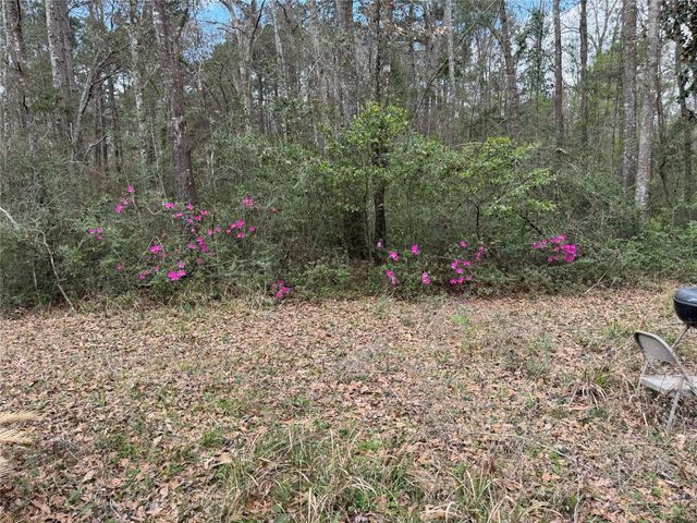 720 Everitt Road, Cleveland, TX 77328