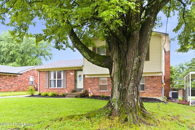 10208 El Ventoso Ct, Louisville, KY 40291