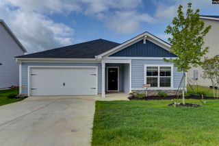 736 Common Widgeon Way, Hopkins, SC 29061