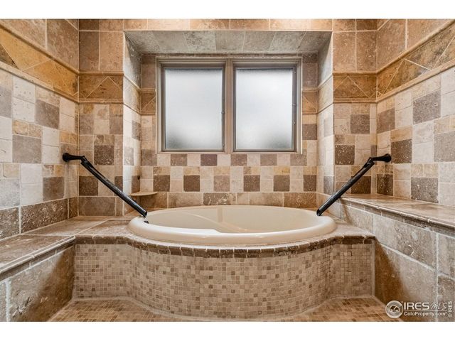 1782 Tulip Tree Pl, Castle Rock, CO 80108