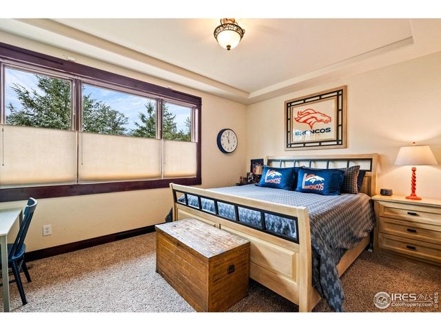 1782 Tulip Tree Pl, Castle Rock, CO 80108