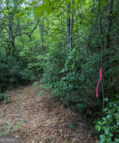 1565 Davis Road, Hiawassee, GA 30546