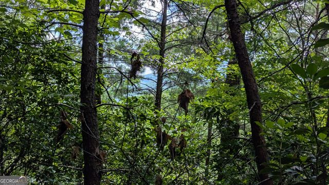 1565 Davis Road, Hiawassee, GA 30546