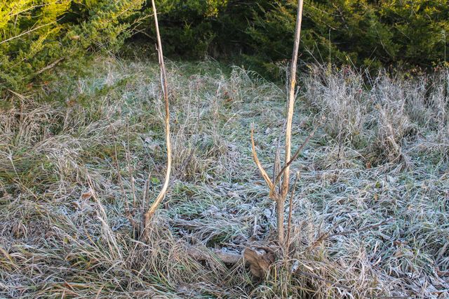 001 365th Street, Truro, IA 50257