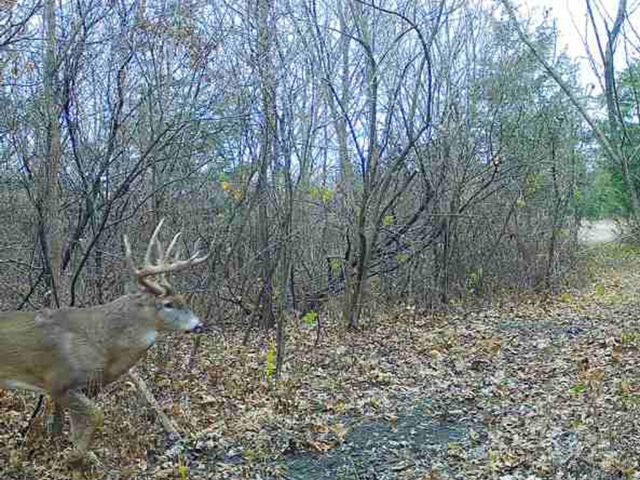 001 365th Street, Truro, IA 50257