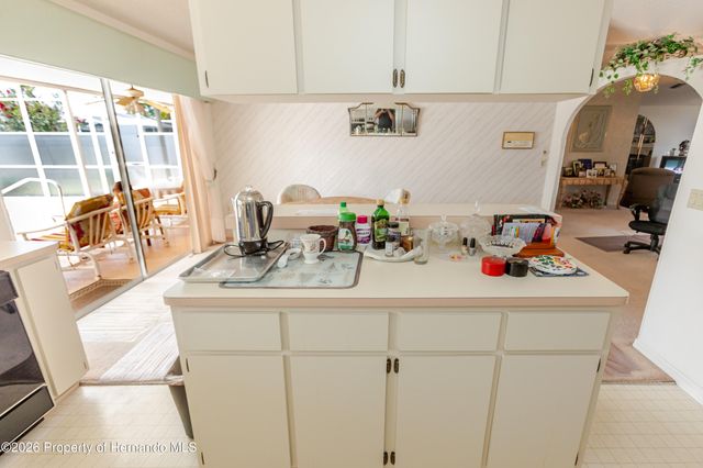 11034 Auburndale Street, Spring Hill, FL 34609