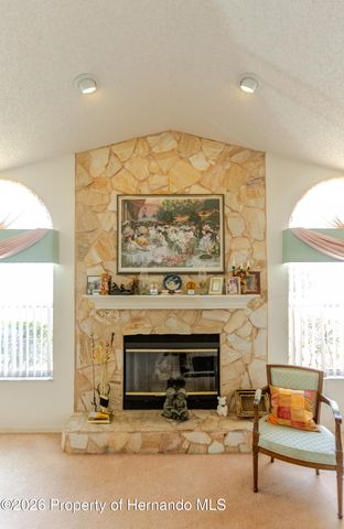11034 Auburndale Street, Spring Hill, FL 34609