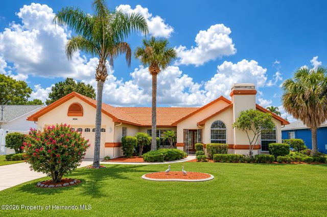 11034 Auburndale Street, Spring Hill, FL 34609