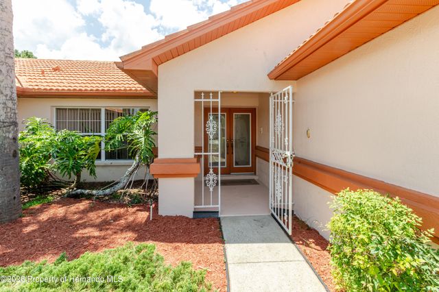 11034 Auburndale Street, Spring Hill, FL 34609