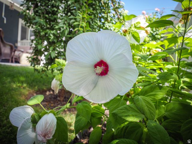 920 E QUEENSMILL LN, Salt Lake City, UT 84106