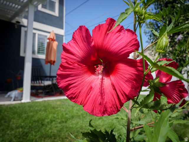 920 E QUEENSMILL LN, Salt Lake City, UT 84106