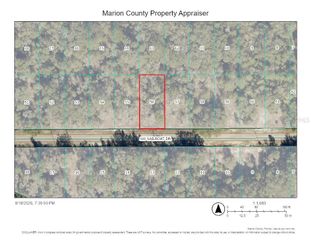 SW SAILBOAT DR., Dunnellon, FL 34431