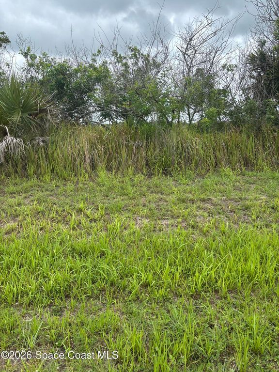 2387 SW Tarboro Terrace SW, Palm Bay, FL 32908