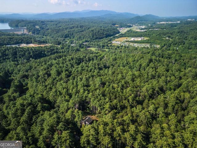 345 Deer Trail, Mineral Bluff, GA 30559