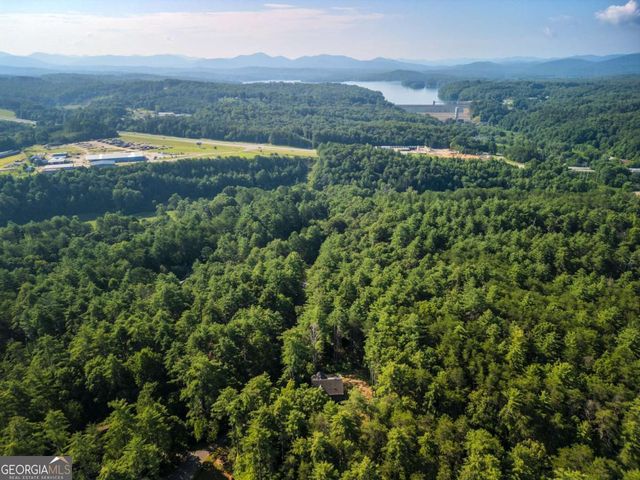 345 Deer Trail, Mineral Bluff, GA 30559