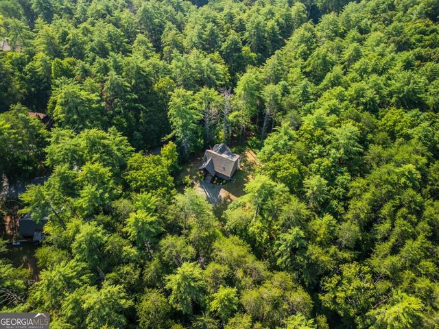 345 Deer Trail, Mineral Bluff, GA 30559