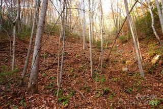 TBD Rector Branch Road 4, Marshall, NC 28743