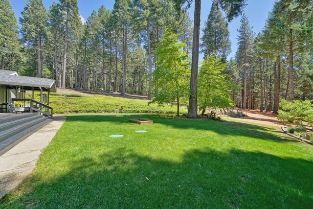 2320 Old Blair Mill Rd, Pollock Pines, CA 95726
