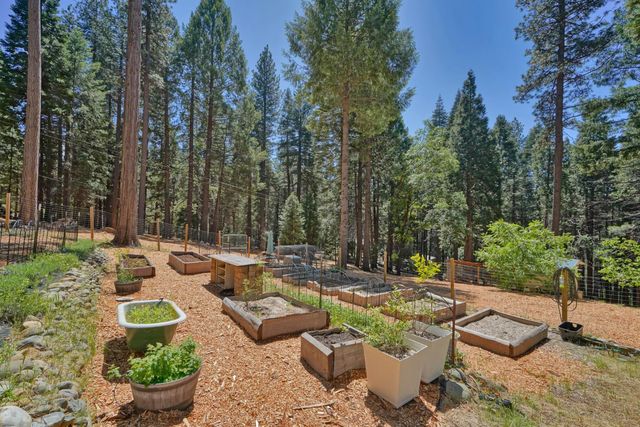 2320 Old Blair Mill Rd, Pollock Pines, CA 95726