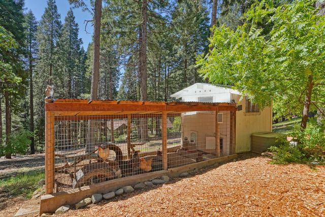2320 Old Blair Mill Rd, Pollock Pines, CA 95726