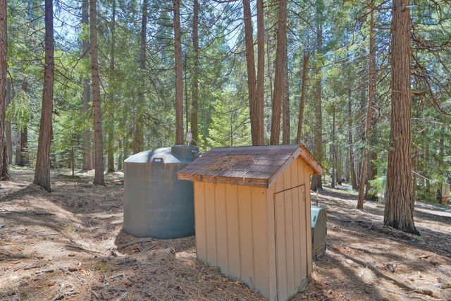 2320 Old Blair Mill Rd, Pollock Pines, CA 95726