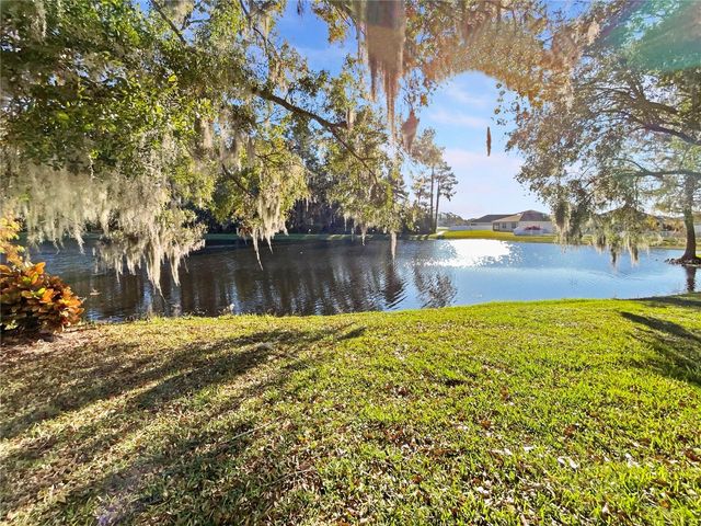 204 BAYTREE BOULEVARD, Tavares, FL 32778