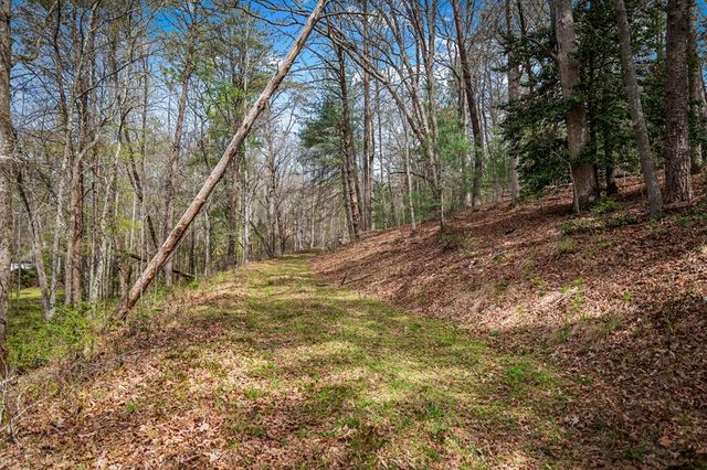 Lot 1 Wolf Creek Estates, Mineral Bluff, GA 30559