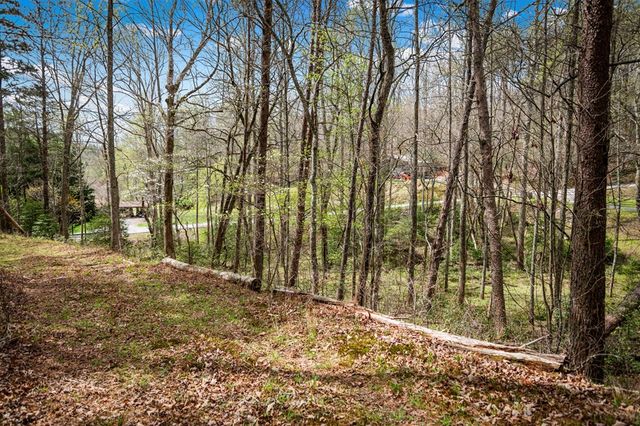 Lot 1 Wolf Creek Estates, Mineral Bluff, GA 30559