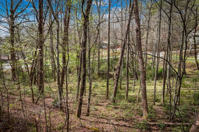Lot 1 Wolf Creek Estates, Mineral Bluff, GA 30559