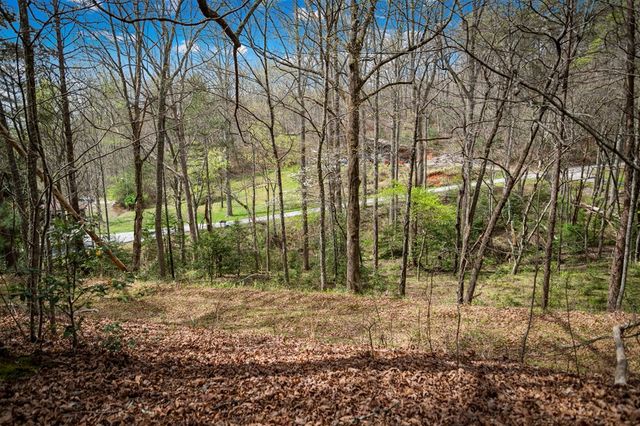 Lot 1 Wolf Creek Estates, Mineral Bluff, GA 30559