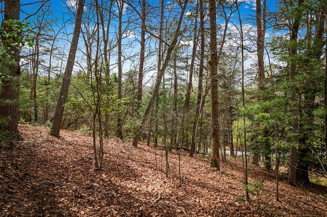 Lot 1 Wolf Creek Estates, Mineral Bluff, GA 30559