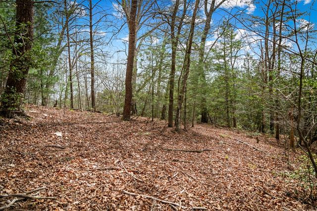 Lot 1 Wolf Creek Estates, Mineral Bluff, GA 30559