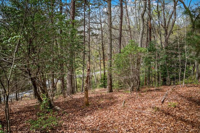 Lot 1 Wolf Creek Estates, Mineral Bluff, GA 30559