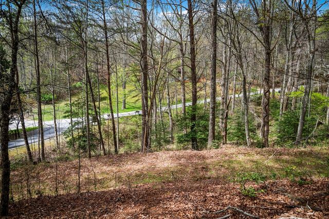 Lot 1 Wolf Creek Estates, Mineral Bluff, GA 30559