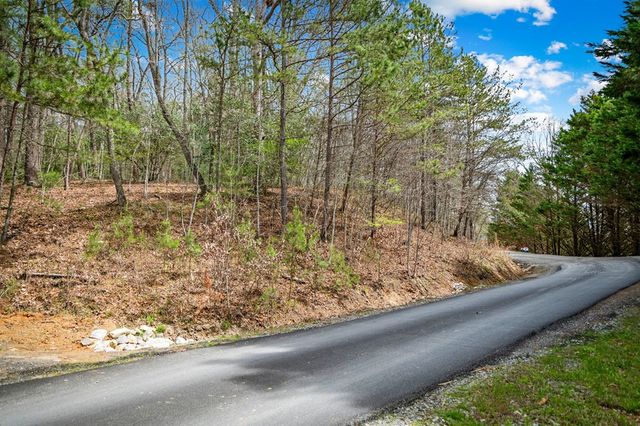 Lot 1 Wolf Creek Estates, Mineral Bluff, GA 30559