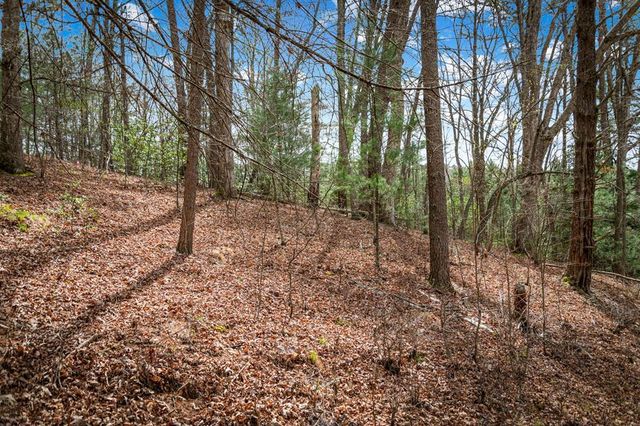 Lot 1 Wolf Creek Estates, Mineral Bluff, GA 30559