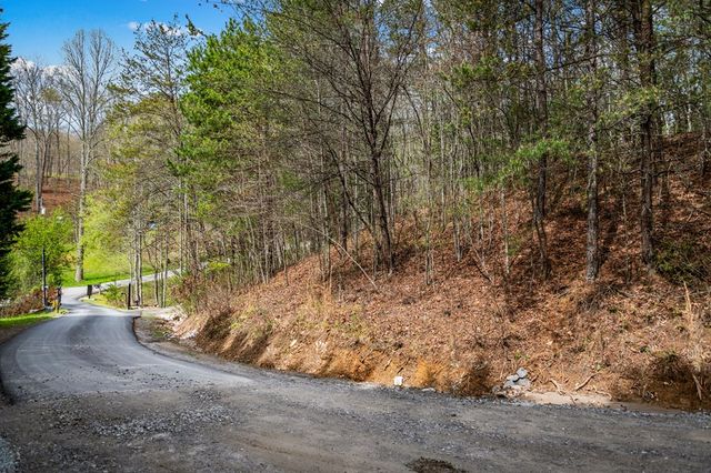 Lot 1 Wolf Creek Estates, Mineral Bluff, GA 30559