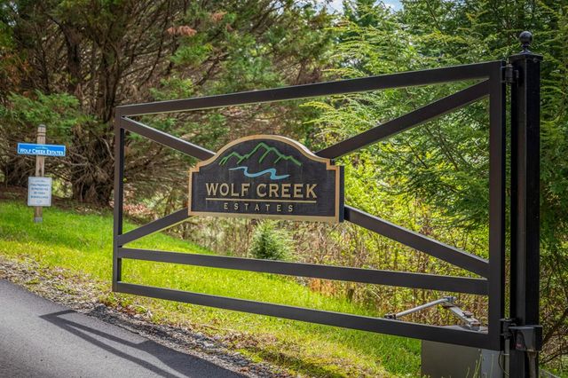 Lot 1 Wolf Creek Estates, Mineral Bluff, GA 30559