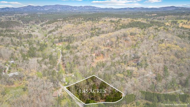 Lot 1 Wolf Creek Estates, Mineral Bluff, GA 30559