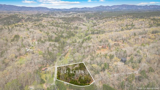 Lot 1 Wolf Creek Estates, Mineral Bluff, GA 30559