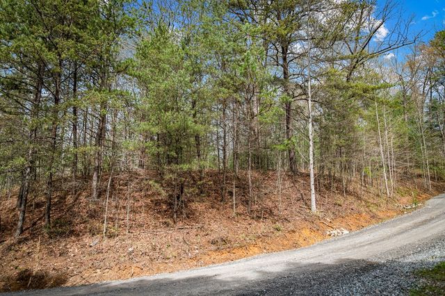 Lot 1 Wolf Creek Estates, Mineral Bluff, GA 30559